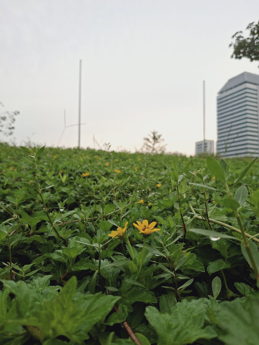 devdaaaysz's tweet photo. POV: Gini ternyata Jakarta

Share your pic https://t.co/qQOMInP9Xs