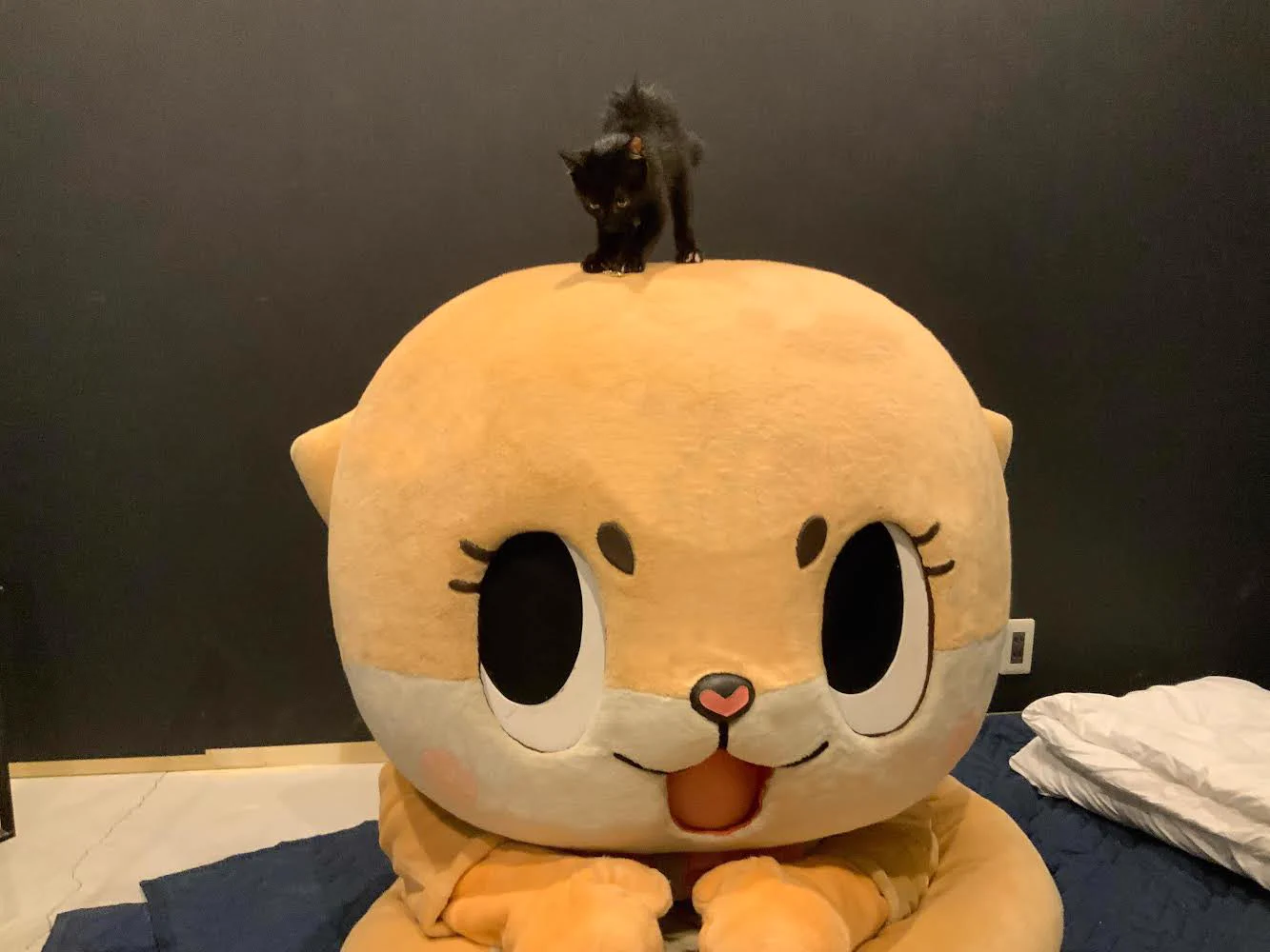 ちぃたん☆／Chiitan on X: 