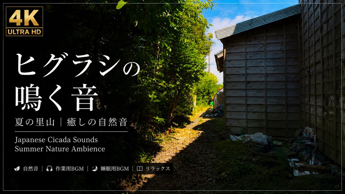 QuietJapanan's tweet photo. 🌿 Japanese Summer | Cicada Sounds

Sleep • Relax • Study • Nature Sounds

🎧 Headphones recommended.

▶️ Watch on YouTube
https://t.co/9eyL9NzK8z

#JapaneseSummer #CicadaSounds #NatureSounds #RelaxingSounds #SleepSounds https://t.co/cVyYPj3nGw