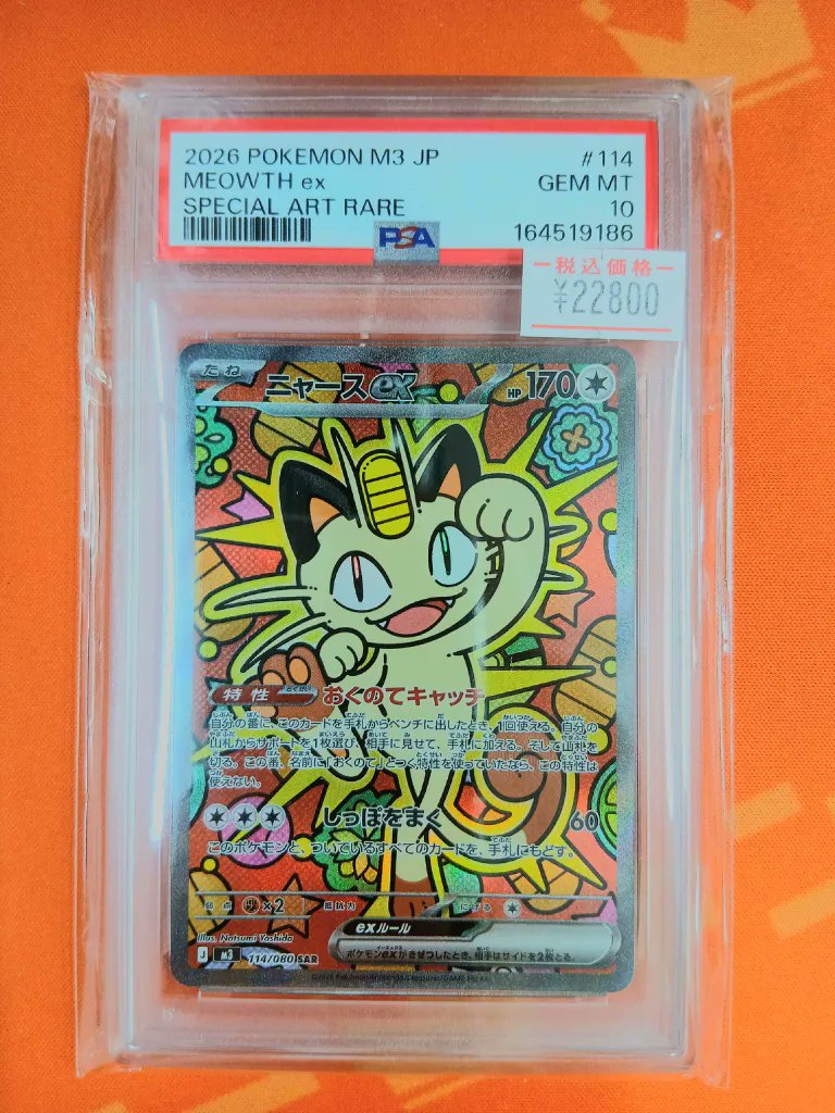 🔥注目カード販売中🔥】 秋葉原2号店にて販売中の 『ニャースex｛114