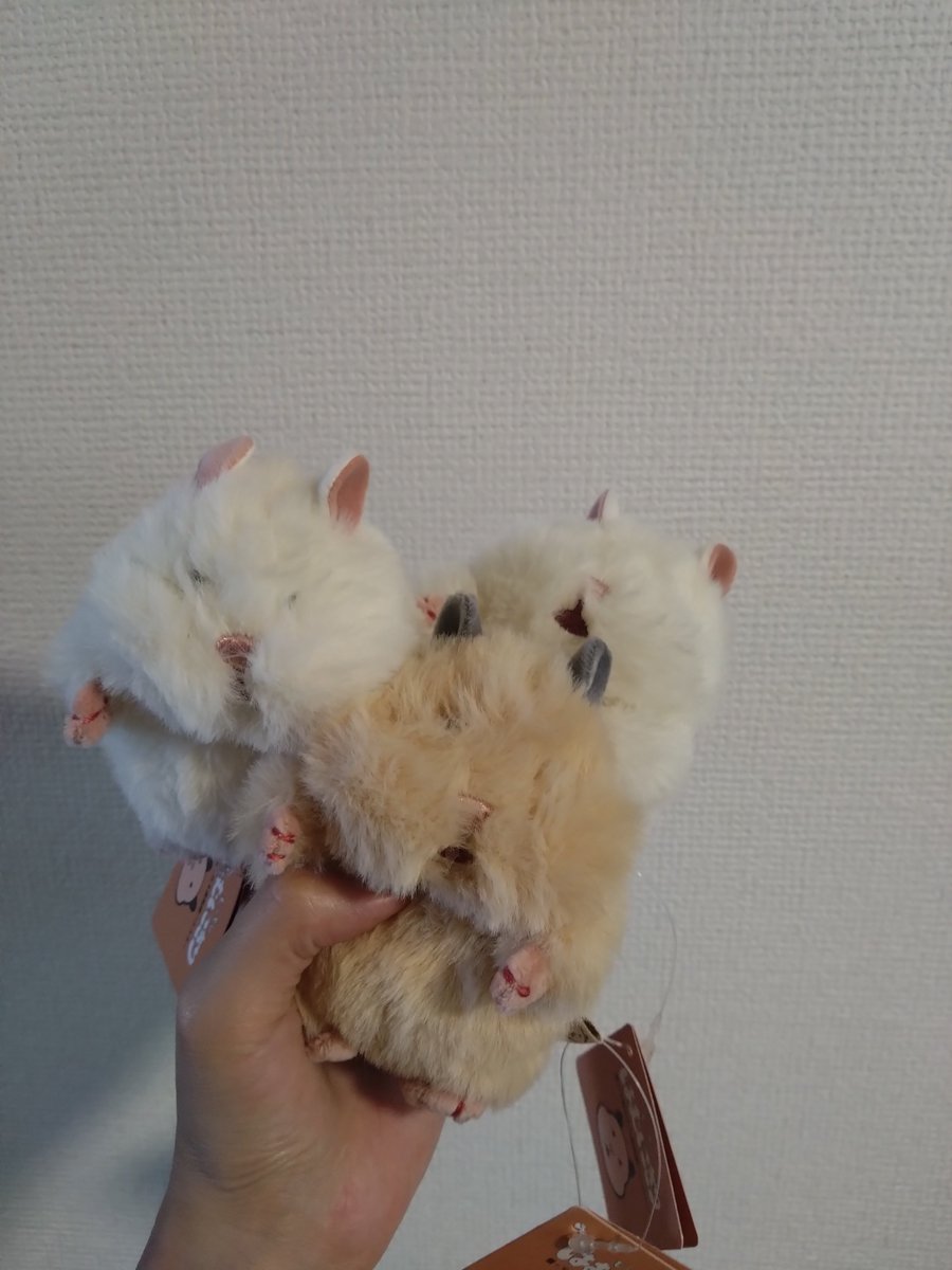 siratama_umauma's tweet photo. おかしいな……この間フォロワーさんと我慢しようねって話したはずなのにな……おかしいな……… https://t.co/06zi7snKWq