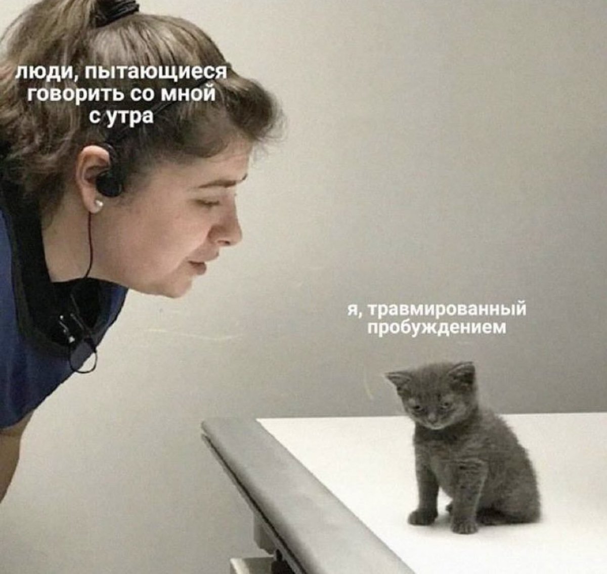 nagorizonte's tweet photo. Утро чят https://t.co/PV7m31dGF1