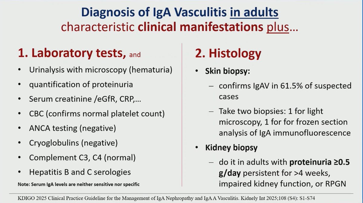 hanadymanasfi's tweet photo. #IgA #vasculitis https://t.co/gXguoH8zqU