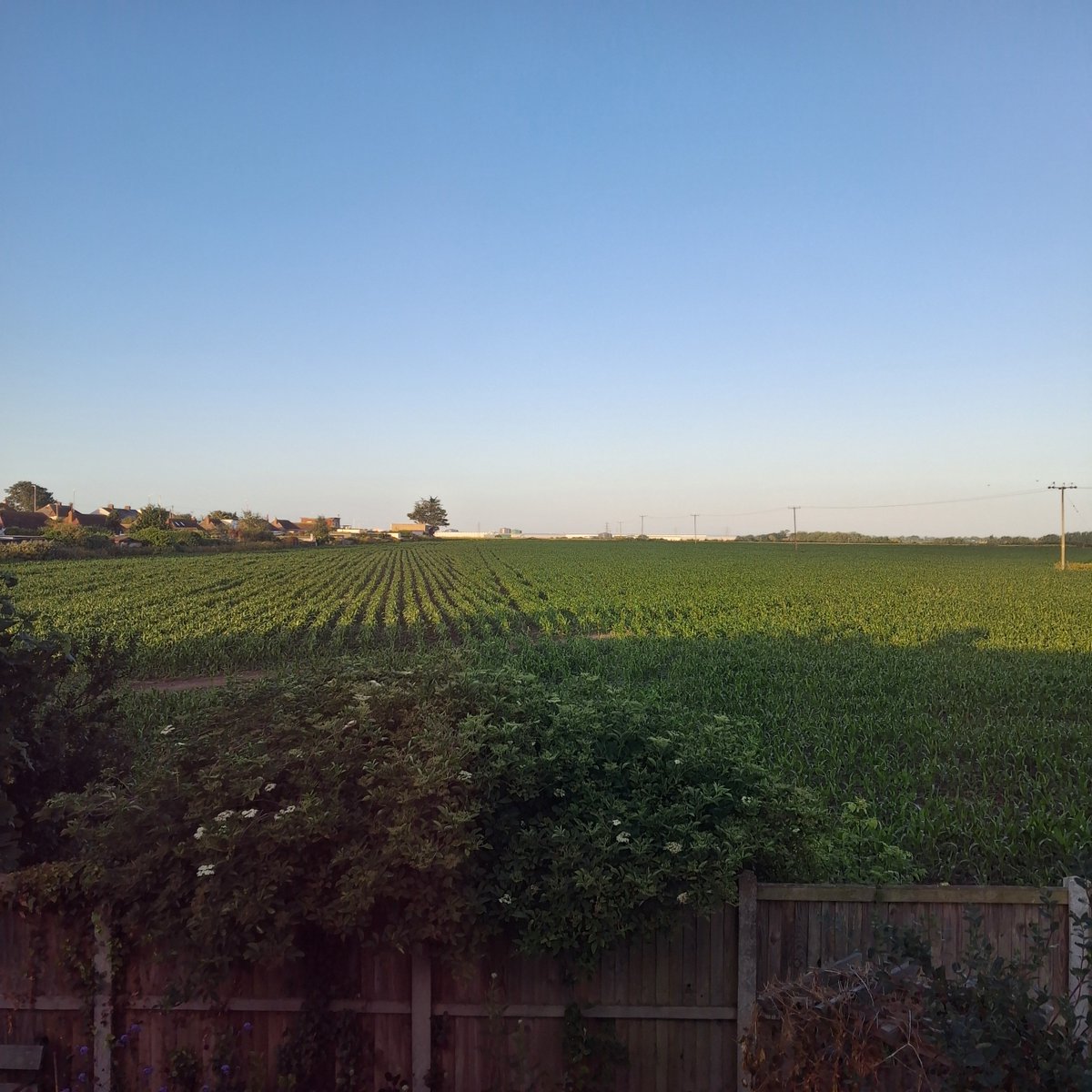 MelJD46's tweet photo. #viewfrommywindow across this year #Kent #farming https://t.co/oaOaIlKd43