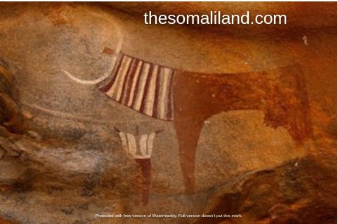mzeesiraj's tweet photo. Images and clips:
#Somaliland 's - #LaasGeel archaeological site near #Hargeisa, and #Saudi- #Arabia's -#Tayma's 'al - #Hamra' Temple archaeological site.
(top L&R, bottom L&R).
#Cuneiform. #Hieroglyphs, #Hebrew, #Armaic and ancient #Arabian scripts; absent from the #Hargeisa and #Tayma archaeological sites?
ancient #Arabian petroglyphs with or without inscriptions, #Musnad script and #Arabic letters/ words only key to decipher?
#Cushites (#Kushites) ,#Hebrews #Semites, #Israelites and #Jews are myths?
thread.
@UNESCO, @jumuiya, @IsraeliPM , @UKinSomalia , @EU_in_Somalia , @US2SOMALIA .