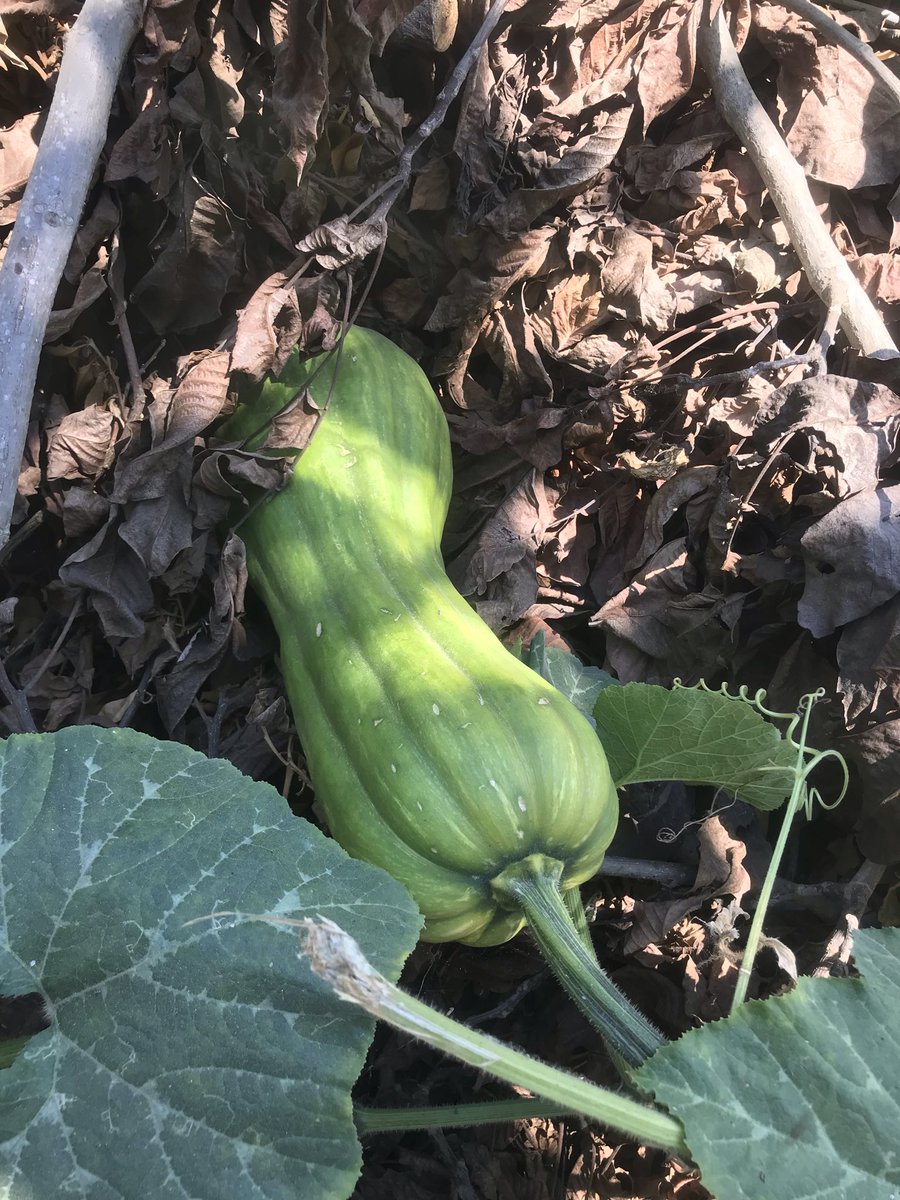 matmazell___'s tweet photo. Bizimki saklanma süresini geçmiş galiba 😂 https://t.co/88t7D1eZkf