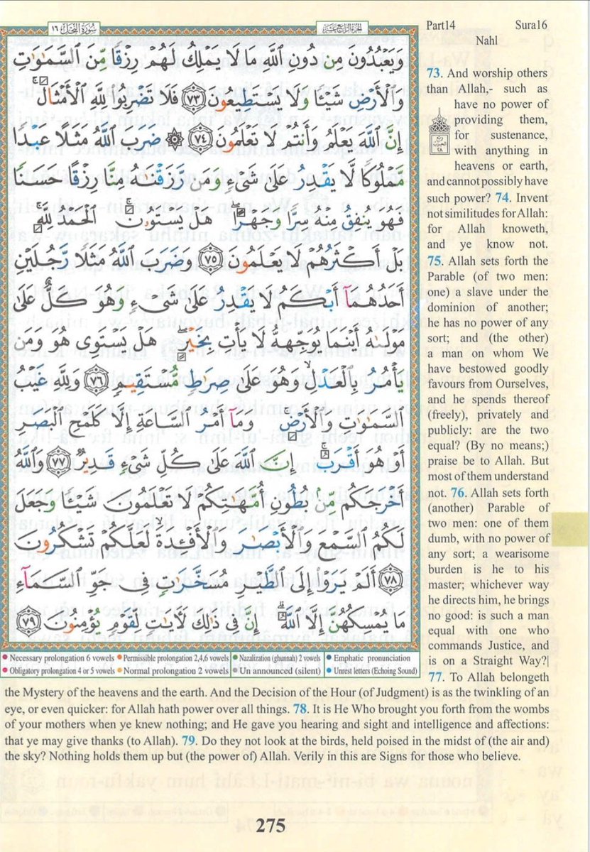 IdrisAOni1's tweet photo. Pages of the Glorius Qur'ān today, Saturday 8/8/26, al-Naḥl (16): 73-87, tafakkur verse 16: 79

Theme: Birds are Signs of Allah

{أَلَمۡ یَرَوۡا۟ إِلَى ٱلطَّیۡرِ مُسَخَّرَ ٰ⁠تࣲ فِی جَوِّ ٱلسَّمَاۤءِ مَا یُمۡسِكُهُنَّ إِلَّا ٱللَّهُۚ إِنَّ فِی ذَ ٰ⁠لِكَ لَـَٔایَـٰتࣲ لِّقَوۡمࣲ یُؤۡمِنُونَ}

"Do they not see the birds controlled in the atmosphere of the sky? None holds them up except Allāh. Indeed in that are signs for a people who believe*.

LESSONS: 
1. The Qur’an invites us to observe nature thoughtfully. Allah says: “Do they not see the birds controlled in the atmosphere of the sky? None holds them up except Allah. Indeed in that are signs for a people who believe” (Qur’an 16:79). A bird in flight is therefore more than a beautiful sight; it is a sign pointing to the wisdom and power of its Creator.

2. The science of flight makes this sign even more remarkable. A bird’s wings generate lift and thrust while its feathers control airflow, balance and direction. Gravity continues to act, yet the bird remains airborne through an extraordinary harmony of wings, air, movement and physical laws. Allah’s sustaining power does not exclude these natural mechanisms; He created them.

3. The bird’s body is wonderfully suited for flight. Its lightweight but strong skeleton, powerful muscles, efficient respiratory system and specialised feathers work together with remarkable precision. Even a simple turn or landing requires the coordinated activity of the brain, eyes, nerves, muscles, wings and tail.

4. Bird migration reveals another astonishing dimension. Some birds travel thousands of kilometres across oceans, deserts and continents. They navigate using combinations of the sun, stars, landmarks, smell and even Earth’s magnetic field. Some young birds undertake long migrations without having travelled the route before. Science explains aspects of how this happens; faith asks who endowed them with these extraordinary abilities.

5. The miracle is not the absence of natural laws, but their astonishing harmony. Gravity, air, wings, feathers, muscles, lungs, senses and instinct all work together to make flight possible. Science helps us understand how birds fly; the Qur’an teaches us to reflect on what that magnificent order signifies. The deeper we study creation, the more reasons we discover to marvel at the wisdom, knowledge and power of Allah.

O Allah, Creator of the heavens and the earth, just as You hold the birds in the sky and guide them across vast distances, guide us upon the straight path and sustain us through every journey of life. Open our eyes to Your signs, increase us in beneficial knowledge, strengthen our faith through reflection upon Your creation, provide for us from where we do not expect, and never leave us to ourselves. Grant us hearts that recognise Your greatness and tongues that remain grateful to You. Āmīn.