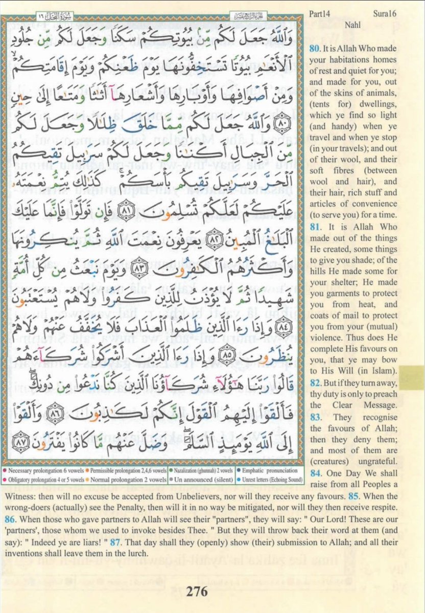 IdrisAOni1's tweet photo. Pages of the Glorius Qur'ān today, Saturday 8/8/26, al-Naḥl (16): 73-87, tafakkur verse 16: 79

Theme: Birds are Signs of Allah

{أَلَمۡ یَرَوۡا۟ إِلَى ٱلطَّیۡرِ مُسَخَّرَ ٰ⁠تࣲ فِی جَوِّ ٱلسَّمَاۤءِ مَا یُمۡسِكُهُنَّ إِلَّا ٱللَّهُۚ إِنَّ فِی ذَ ٰ⁠لِكَ لَـَٔایَـٰتࣲ لِّقَوۡمࣲ یُؤۡمِنُونَ}

"Do they not see the birds controlled in the atmosphere of the sky? None holds them up except Allāh. Indeed in that are signs for a people who believe*.

LESSONS: 
1. The Qur’an invites us to observe nature thoughtfully. Allah says: “Do they not see the birds controlled in the atmosphere of the sky? None holds them up except Allah. Indeed in that are signs for a people who believe” (Qur’an 16:79). A bird in flight is therefore more than a beautiful sight; it is a sign pointing to the wisdom and power of its Creator.

2. The science of flight makes this sign even more remarkable. A bird’s wings generate lift and thrust while its feathers control airflow, balance and direction. Gravity continues to act, yet the bird remains airborne through an extraordinary harmony of wings, air, movement and physical laws. Allah’s sustaining power does not exclude these natural mechanisms; He created them.

3. The bird’s body is wonderfully suited for flight. Its lightweight but strong skeleton, powerful muscles, efficient respiratory system and specialised feathers work together with remarkable precision. Even a simple turn or landing requires the coordinated activity of the brain, eyes, nerves, muscles, wings and tail.

4. Bird migration reveals another astonishing dimension. Some birds travel thousands of kilometres across oceans, deserts and continents. They navigate using combinations of the sun, stars, landmarks, smell and even Earth’s magnetic field. Some young birds undertake long migrations without having travelled the route before. Science explains aspects of how this happens; faith asks who endowed them with these extraordinary abilities.

5. The miracle is not the absence of natural laws, but their astonishing harmony. Gravity, air, wings, feathers, muscles, lungs, senses and instinct all work together to make flight possible. Science helps us understand how birds fly; the Qur’an teaches us to reflect on what that magnificent order signifies. The deeper we study creation, the more reasons we discover to marvel at the wisdom, knowledge and power of Allah.

O Allah, Creator of the heavens and the earth, just as You hold the birds in the sky and guide them across vast distances, guide us upon the straight path and sustain us through every journey of life. Open our eyes to Your signs, increase us in beneficial knowledge, strengthen our faith through reflection upon Your creation, provide for us from where we do not expect, and never leave us to ourselves. Grant us hearts that recognise Your greatness and tongues that remain grateful to You. Āmīn.