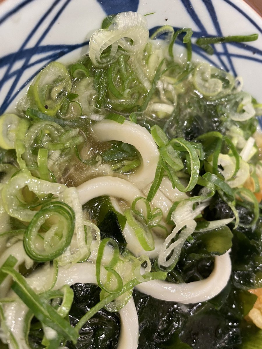 RetuU_r_2's tweet photo. 丸亀わかめ追加してくれてありがとう旨塩うどん常設して https://t.co/DAHaRQEdHV