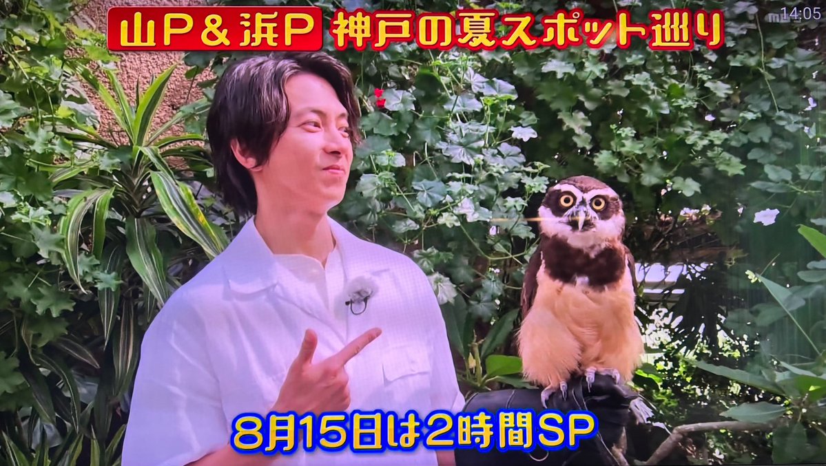 smarumtkj10's tweet photo. やまぴーが神戸上陸2時間SP🙌🏻
番組途中にも予告流れた💜
来週たのしみ〜🥰✨

#山下智久
#ごぶごぶ https://t.co/dfkQSpKTky