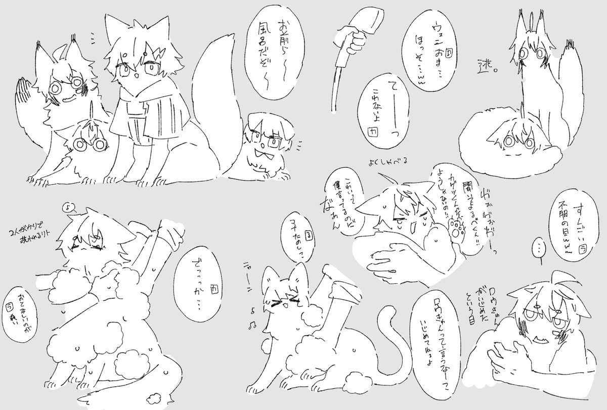 Makoz850's tweet photo. ねこのひー⚠︎擬獣化⚠︎ https://t.co/AL2pR3axPN