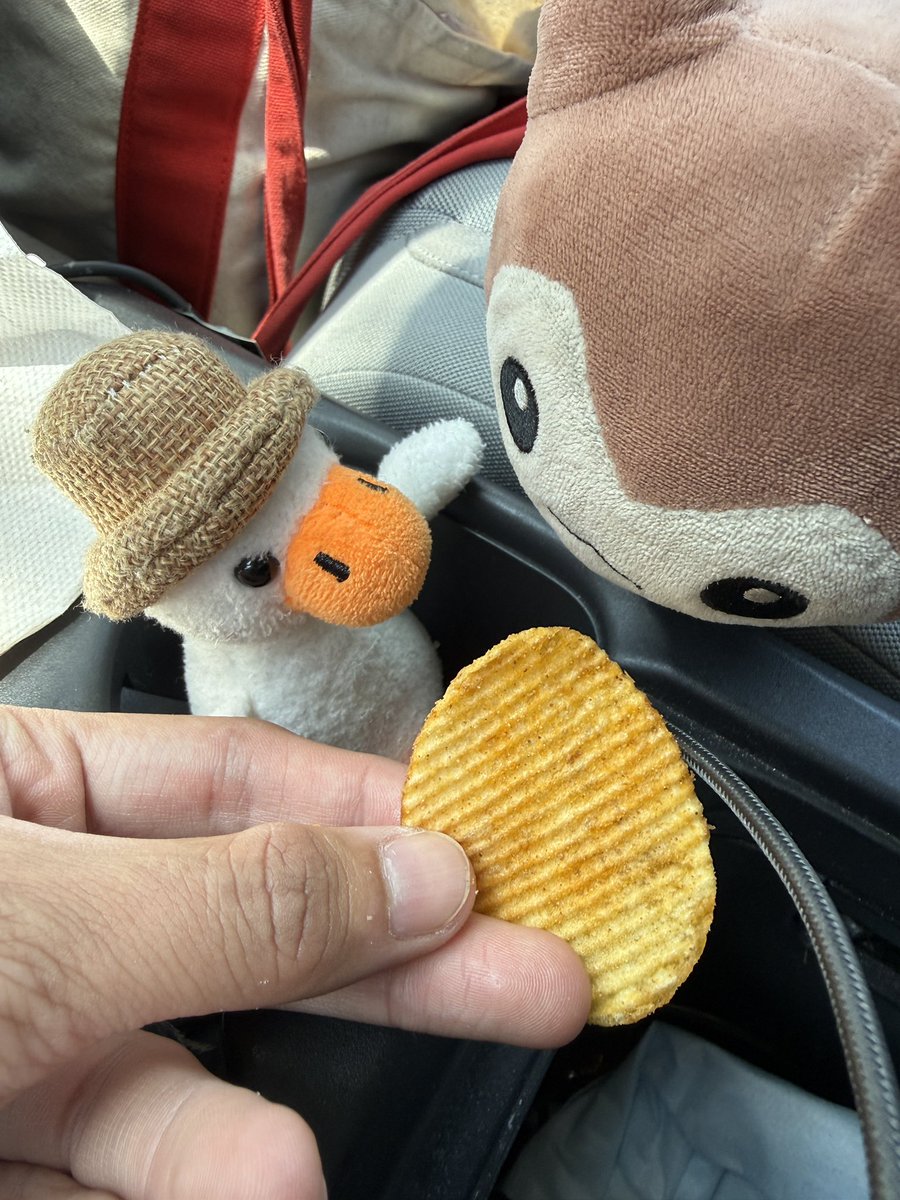 MaxxIsFurret's tweet photo. happy furret friday! him and quack are enticed by a chip. i hope they liked it 🤍🤎 https://t.co/QgvYoJMHST