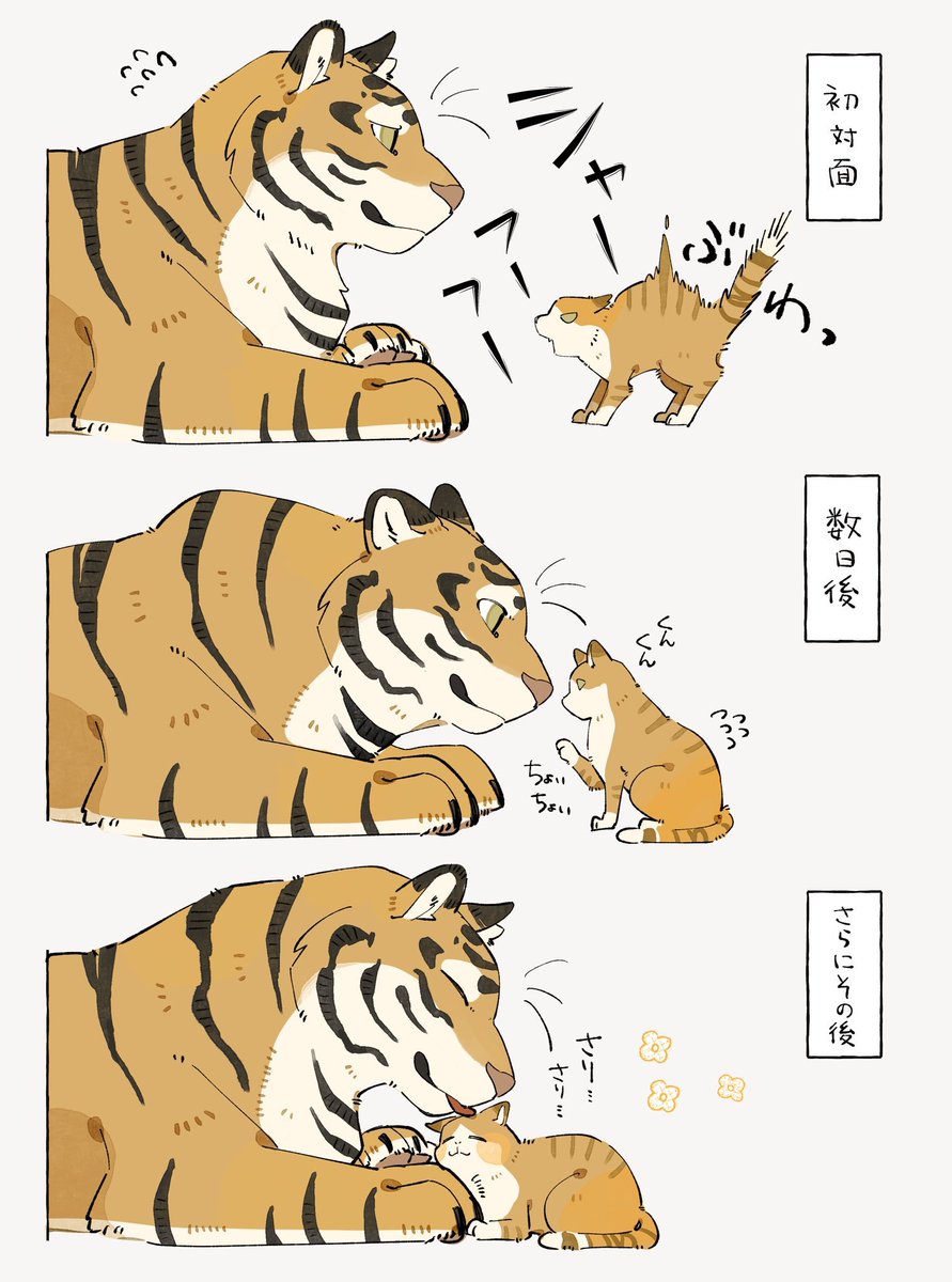 nanataroo_7's tweet photo. 猫と大きな猫🐱🐯 https://t.co/JLVNjySTmi