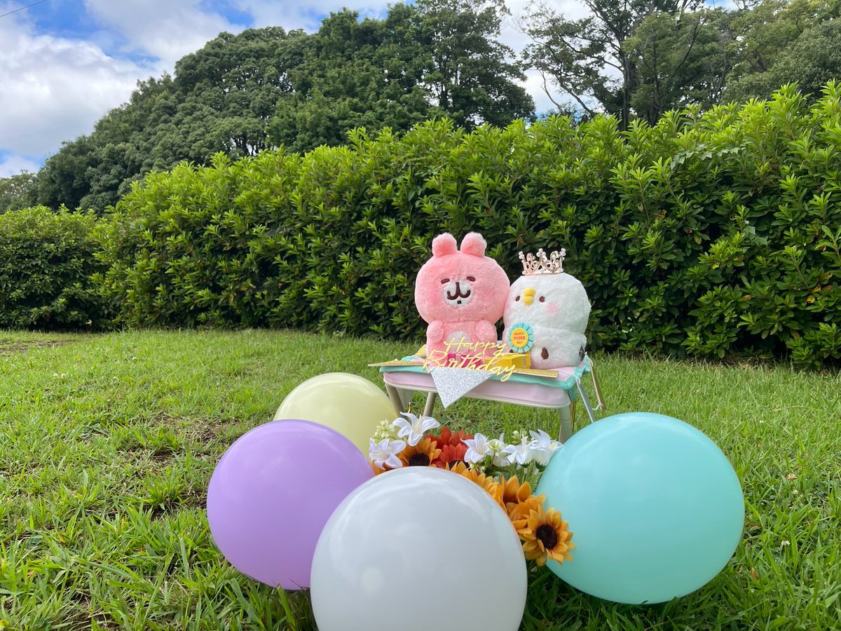 kanahei_animals's tweet photo. Happy Birthday🎉ピスケ🎁
#ピスケの誕生日
#8月8日 https://t.co/5jc3G9EQhk