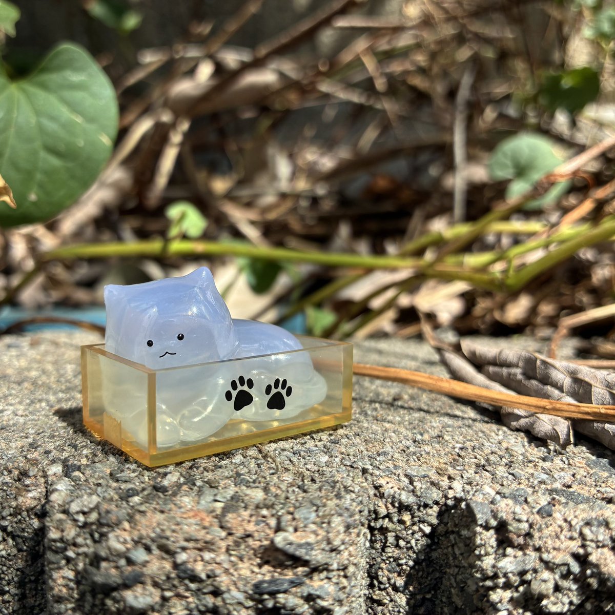 gashaponanimebu's tweet photo. 世界猫の日🐾❣️ 溶けてる！にゃあぁぁん🐱  #世界猫の日 #WorldCatDay #InternationalCatDay #ガシャポン https://t.co/w8pC1NPypq