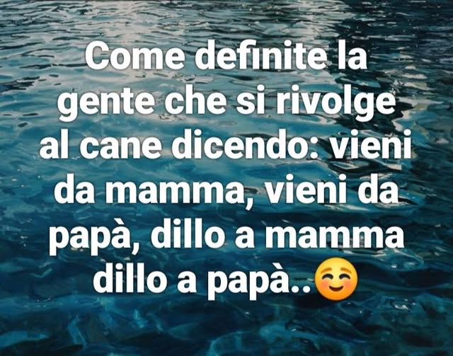 Boboj29's tweet photo. BUON   SABATO

 a te che leggi https://t.co/CAejs2zQku