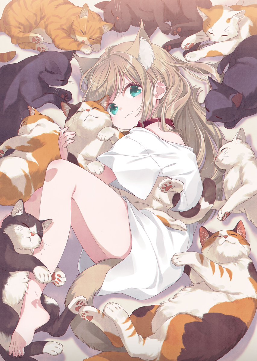40hara's tweet photo. #世界猫の日🐾 https://t.co/f86MUh75m2