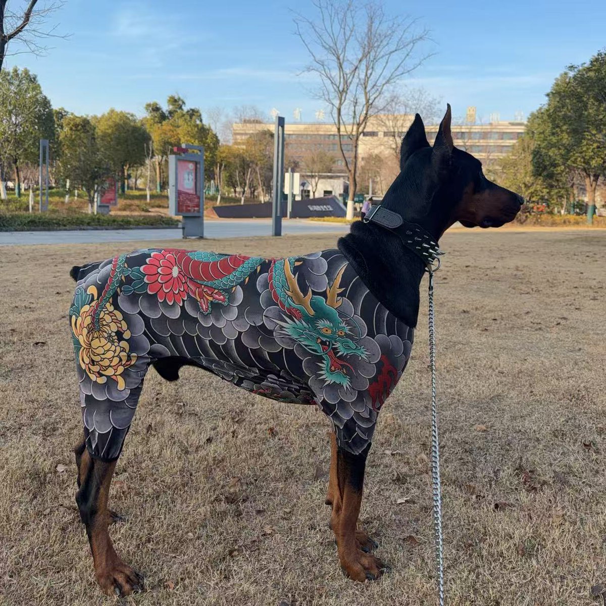 gear_outlet's tweet photo. 🐾🖤 Doberman Pinscher Shirt for Cats & Dogs! 🐶🐱
https://t.co/dDUL2qVEnI
Doberman Pinscher Pet T-Shirt—a fun Universal 4-Legged Outfit for stylish pets. Perfect for walks, photos, pet lovers & Doberman fans!❤️
#DobermanPinscher #PetTShirt #DogClothes #PetFashion #DogFashion https://t.co/SI5cMVHvU8