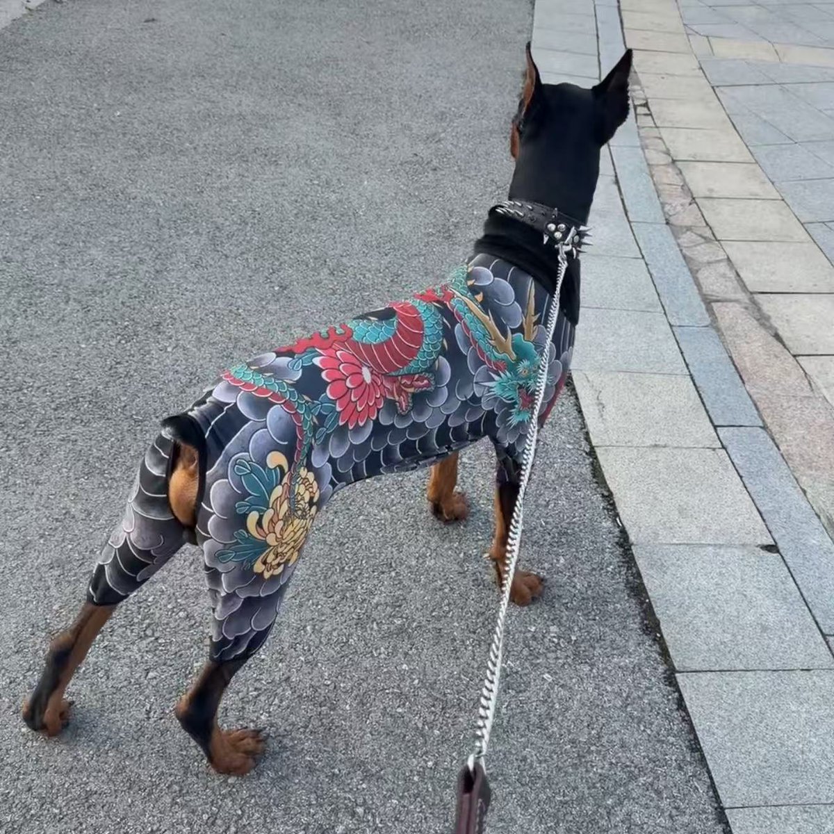 gear_outlet's tweet photo. 🐾🖤 Doberman Pinscher Shirt for Cats & Dogs! 🐶🐱
https://t.co/dDUL2qVEnI
Doberman Pinscher Pet T-Shirt—a fun Universal 4-Legged Outfit for stylish pets. Perfect for walks, photos, pet lovers & Doberman fans!❤️
#DobermanPinscher #PetTShirt #DogClothes #PetFashion #DogFashion https://t.co/SI5cMVHvU8