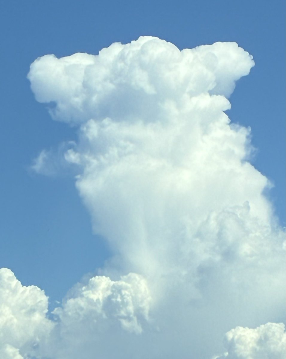 navyblueaoao46's tweet photo. なんとなく似てなくもない、今の東京の雲。 https://t.co/ymRgjUP2SX