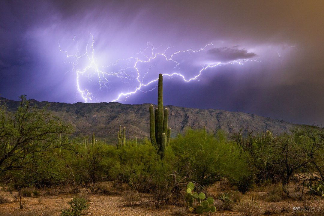 BigChief924's tweet photo. @CDiggsKGUNWX The Tucson valley needs the rain. https://t.co/3AJCdFvF8x
