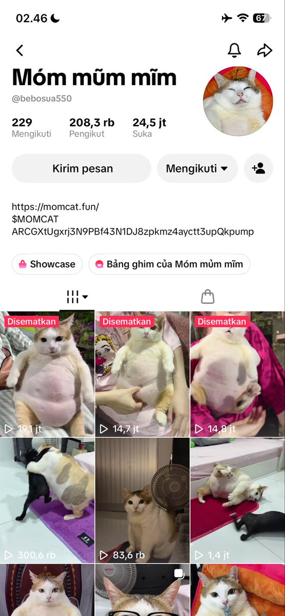 Pigcute_'s tweet photo. @Ga__ke Bang @Ga__ke animal TikTok with 208k follower. Vision him give food for stray cats and dog. Can u notice/support him? ARCGXtUgxrj3N9PBf43N1DJ8zpkmz4ayctt3upQkpump https://t.co/xn4XxfsBFs