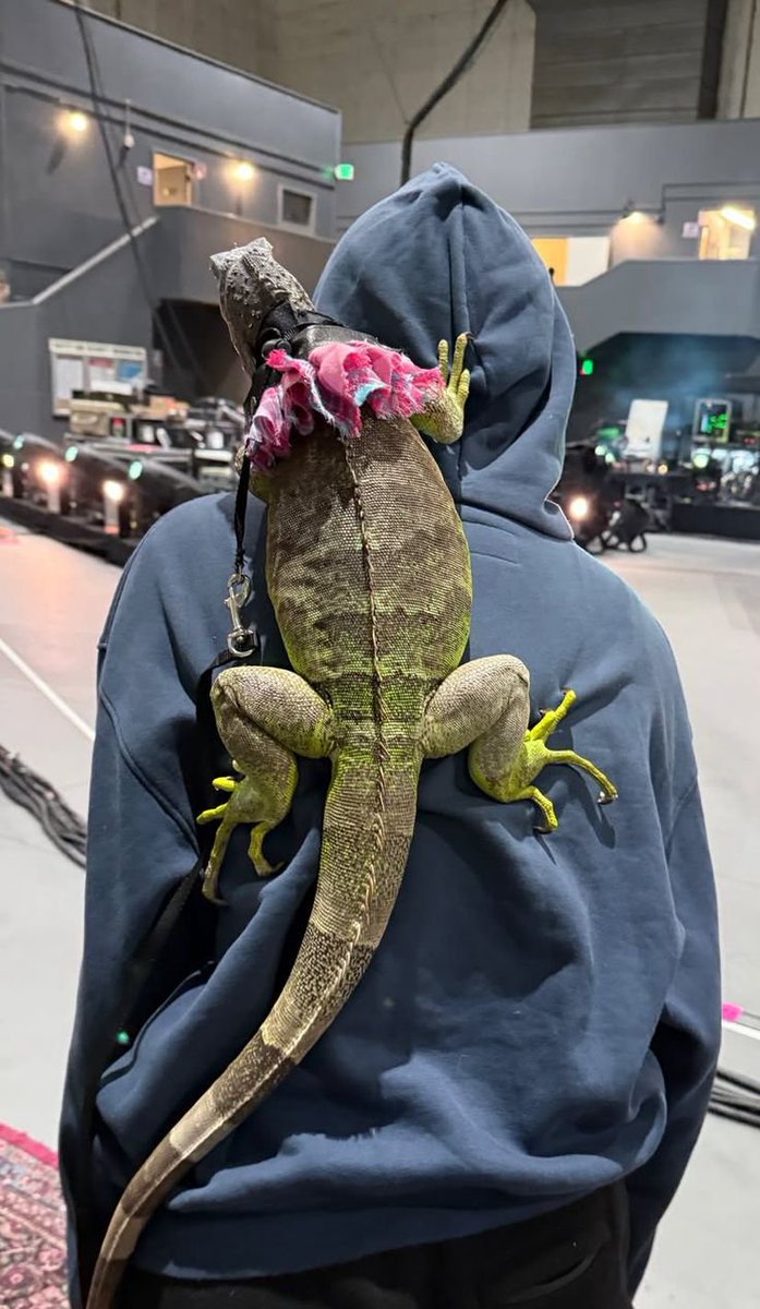 GlblITgirlLISA's tweet photo. We’ll keep walking this journey together. 

#LISA X #LILIES X #LIZARD https://t.co/8YgV00cjyd