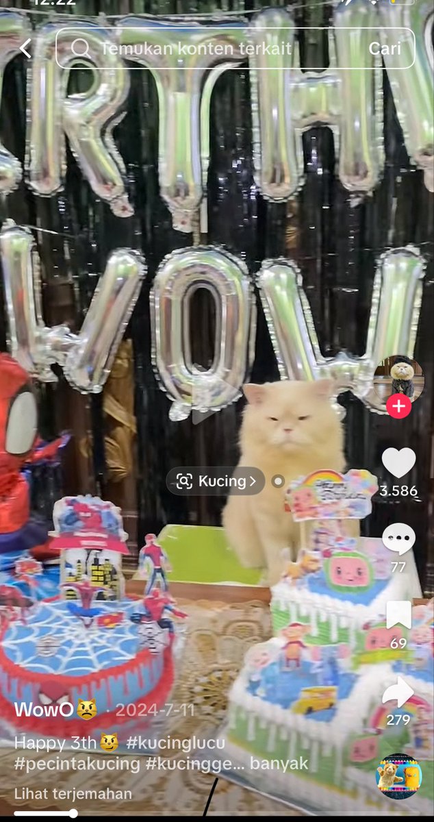 baesepti_'s tweet photo. @blinkmf kalo cuma dekor gitu mah, ga perlu nunggu 10 taun jii, masa kalah sama dekor acara ultah kucing di tiktok https://t.co/L6strYpYKC