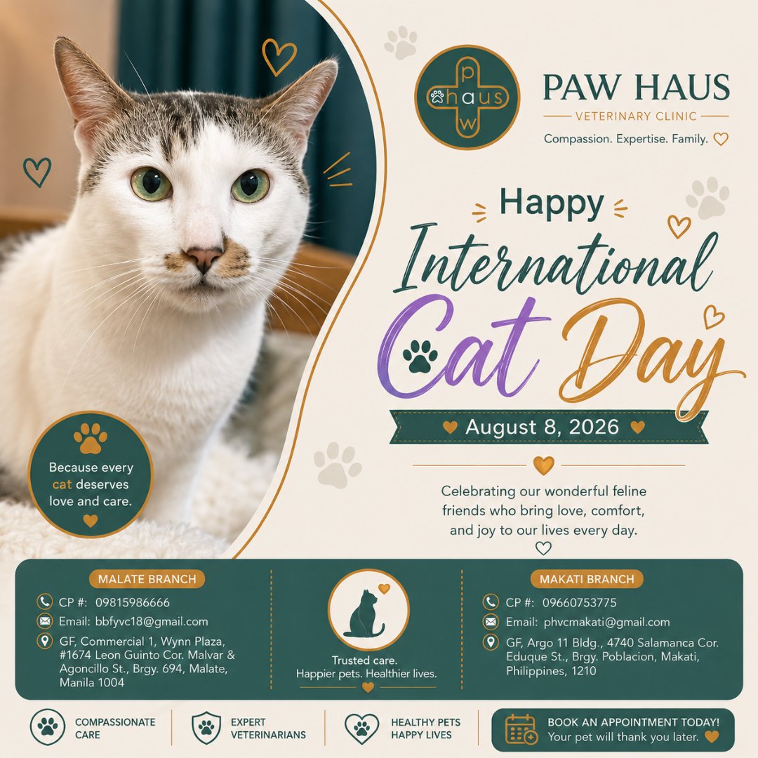 paw_haus's tweet photo. 🐱 Happy International Cat Day! Every cat deserves more than love: proper nutrition, preventive care, regular checkups, and a safe home. 💚 Celebrate today with kindness, patience, and responsible care. #InternationalCatDay https://t.co/prC3H44VDD