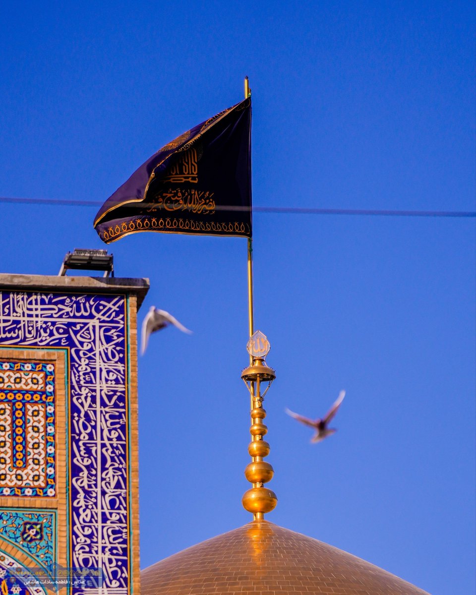 razavi_aqr_ir's tweet photo. #وقت_سلام 

الهی و ربّی! کَرَم کن کَرَم
بخوان چون کبوتر مرا در حرم...

با یک سلام زائر آقا شوید✋ https://t.co/gHGZ3KI8BR