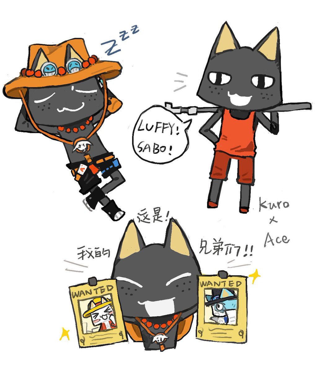 xw_0820's tweet photo. 多罗猫&amp;ASL
#ONEPIECE https://t.co/WIWWaVsU5n
