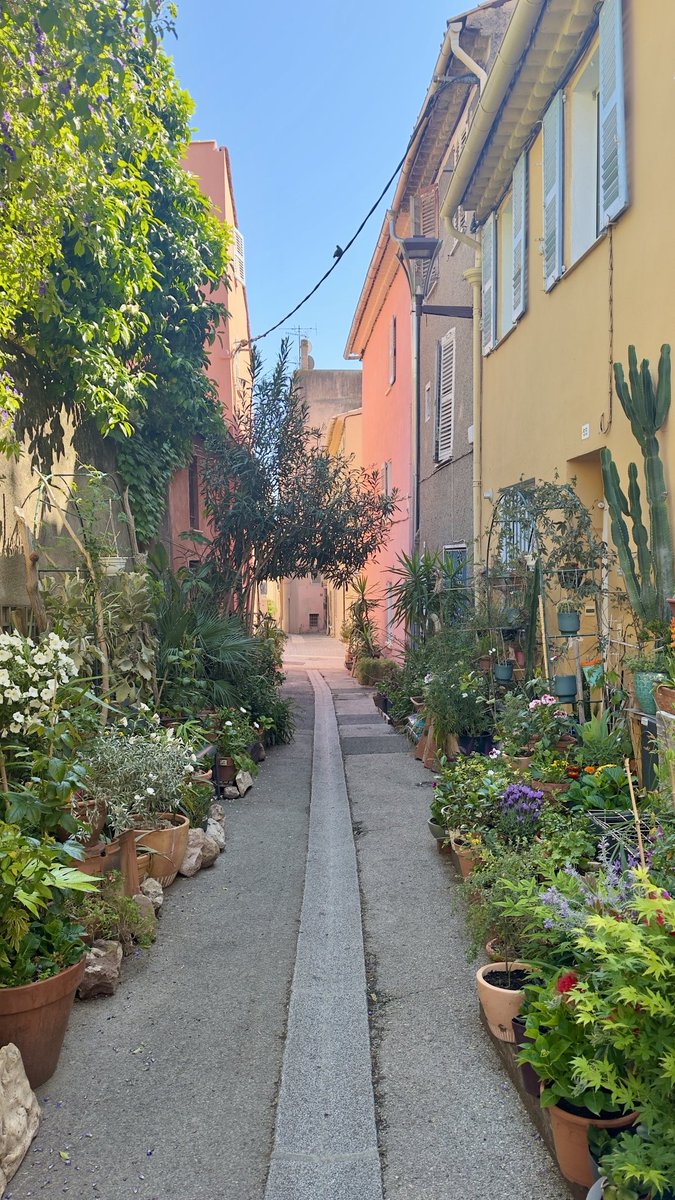jmlpyt's tweet photo. Le charme provençal des vieilles rues de Fréjus

#esterelcotedazur #visitesterel #frejus #esterel #cotedazurfrance #regionsud #var https://t.co/E68LCiMQFq