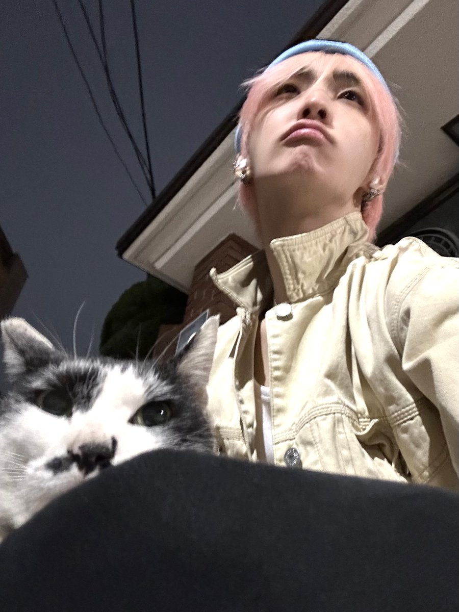 NTX_OFFICIAL_'s tweet photo. 세계 고양이의 날!!!!!!!!!!!!

#RAWHYUN #로현
#NTX #엔티엑스 https://t.co/F0e08ByZMi
