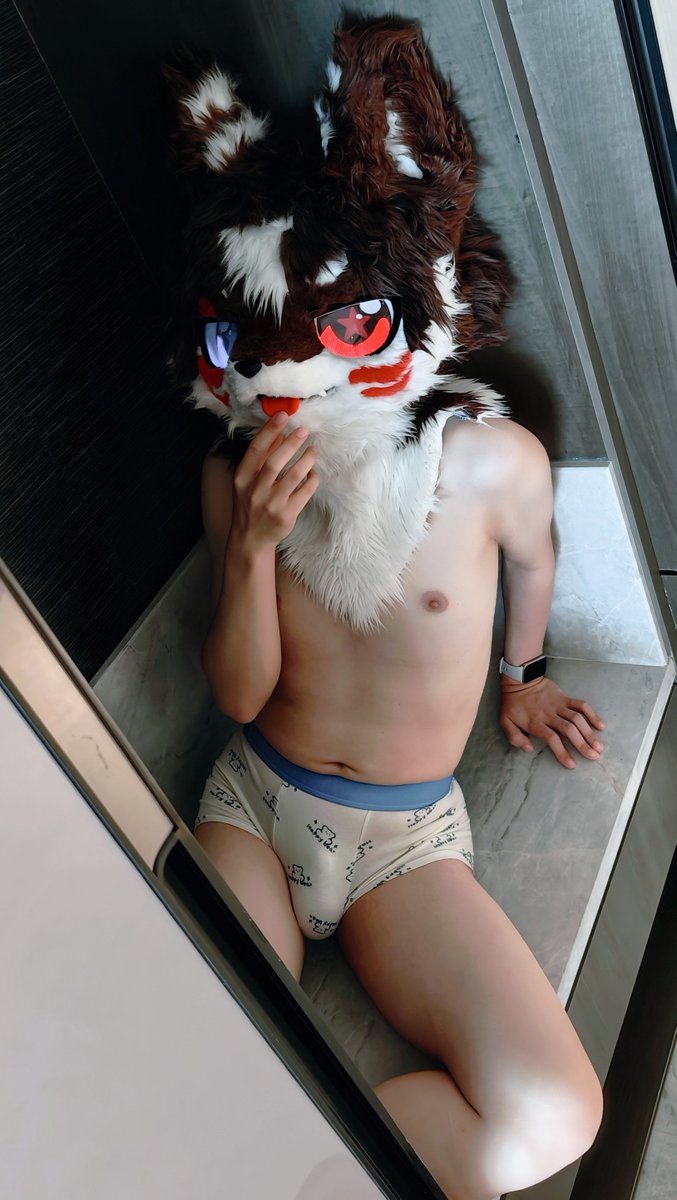 Luca_Furry's tweet photo. Come here, sweetie. https://t.co/GHN7DKsOrZ