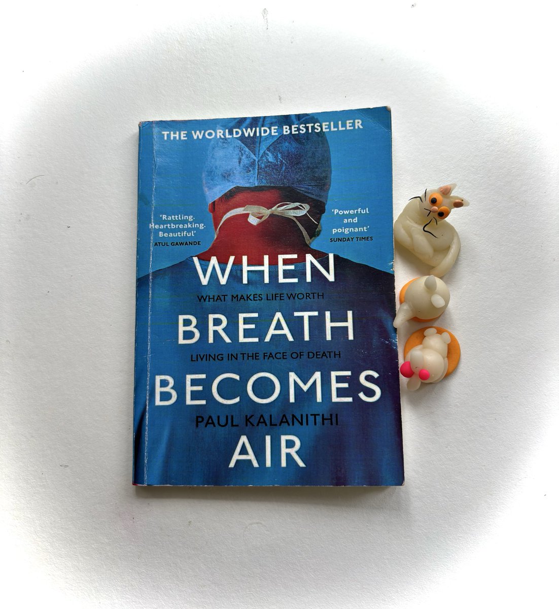 RobinaRai's tweet photo. August Read ⏳. When breath becomes air by Paul Kalanithi ⏳ https://t.co/VUgrYuurdA