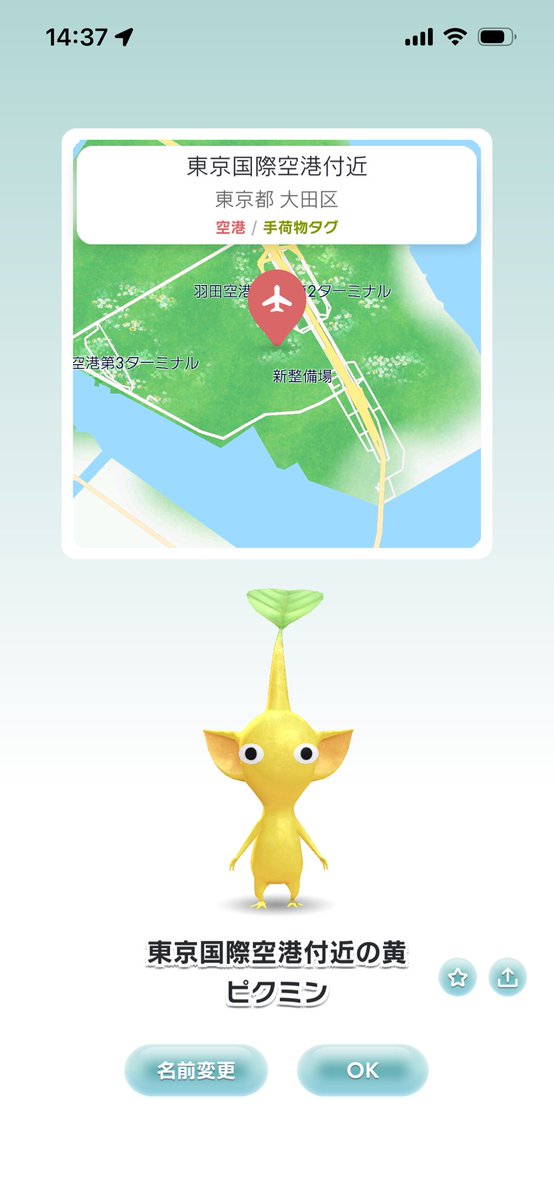 iamwithPIKMIN's tweet photo. 手荷物タグデコピクミンを羽田空港でGet✈️育つのが楽しみ
#PikminBloom #ピクミンブルーム https://t.co/VsQmoK4uPz