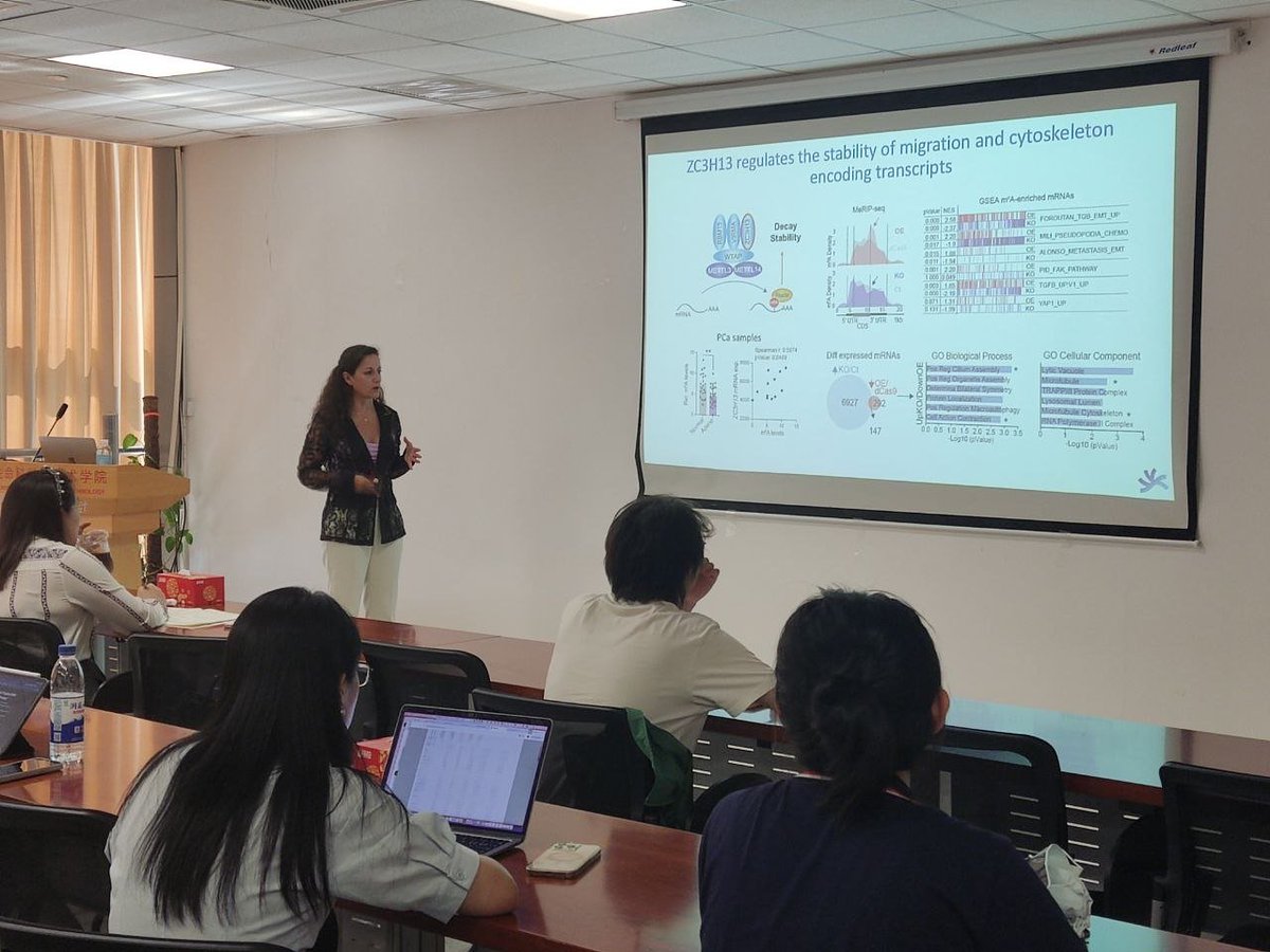 Sblancolab's tweet photo. Fantastic visit to School of Life Science and Technology at @ShanghaiTechUni with the best host and a great scientists @RujuanLiu2015. This is the beginning of future fruitfull collaborations on #ModRNA #Epitranscriptomics #Cancer
@ciccancer
@CSIC
@CSICCyL
@usal https://t.co/1WdR9K3UgA