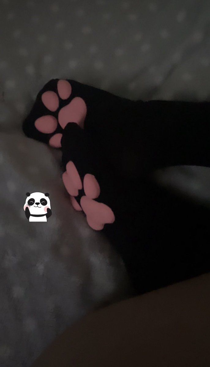 playfulvamp's tweet photo. pawsss #nsfwtwt #esex #cnc https://t.co/JTUYkrcdqo