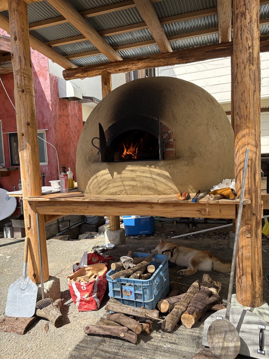 pizza_fornino's tweet photo. 焼きたてPIZZAフォルニーノ
in海の家ぼろんじ🌊
本日から営業スタート🍕
今日分のピッツァは完売しましたが
16時までカキ氷や子浦コーラなどなどやってます🔥
明日は下賀茂熱帯植物園のビアガーデンに出店のため
ぼろんじはおやすみです〜
8/11(火)からまた海の家ぼろんじで営業します🍕 https://t.co/Err1ehjDPW