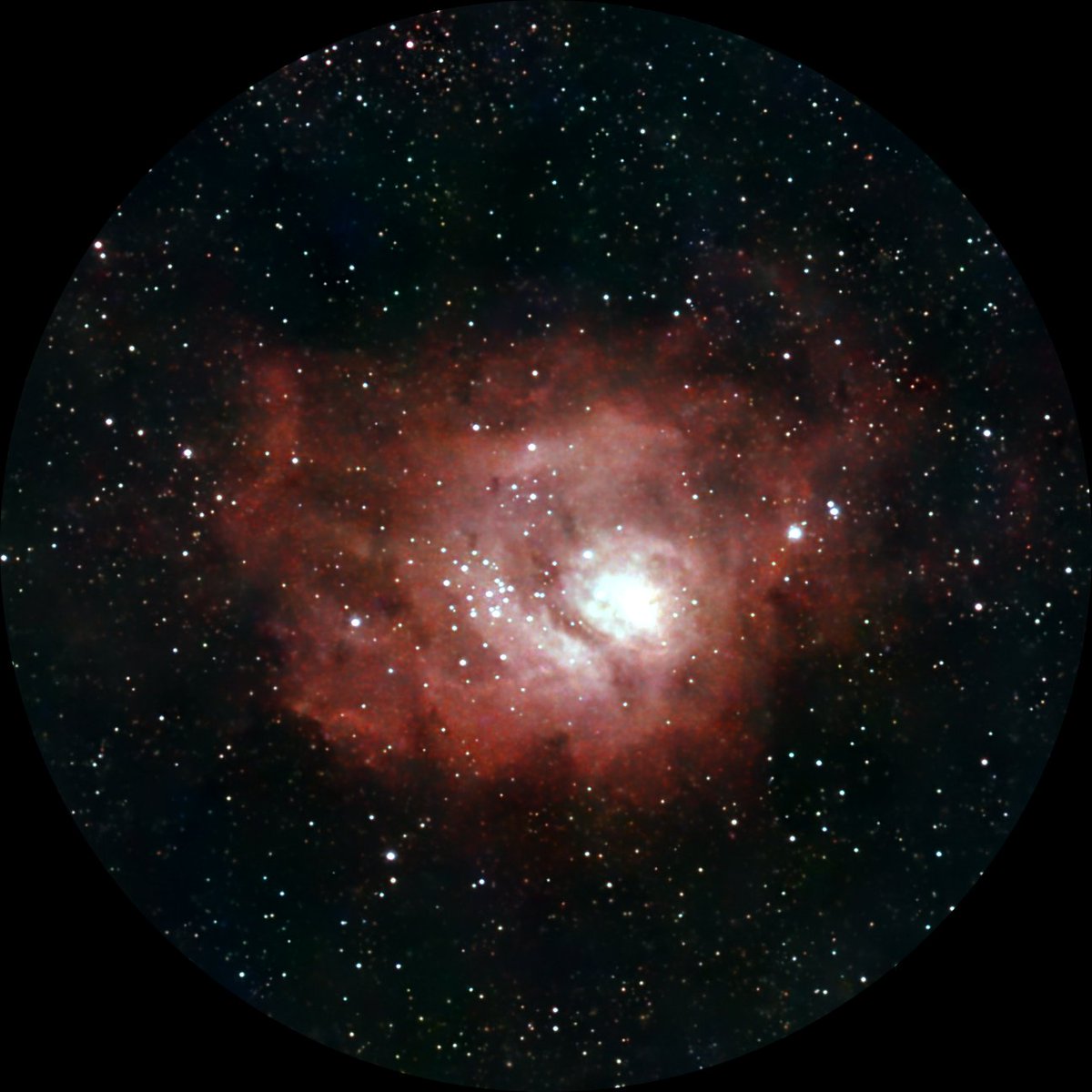 astrokn_G's tweet photo. 8月2日のM8干潟星雲
左:AstroWizardで処理してみました
試行錯誤中ですが星像が大きく
星の数が多い
右:Seestarアプリで後処理のもの
赤めで星の数が少ない
今後も両処理してみます
#SeestarS30Pro #AstroWizard #M8 https://t.co/PvZYSLwBCC