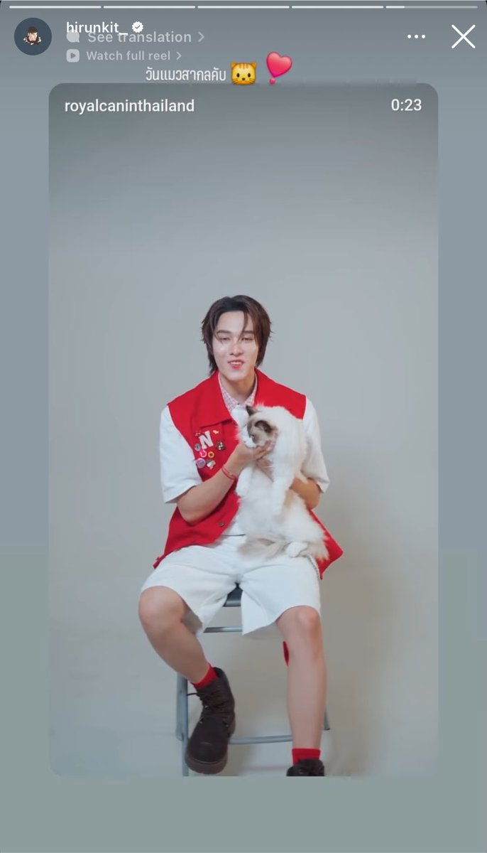 bittermacarons's tweet photo. 🐱mau ngecek kekerenan malah kena serang (?)😂😂😂
🐱international cat day 🐱❤️
🐱bagus ngabb 

#hirunkit_ #callmenoahkub https://t.co/92DUyAcMhL