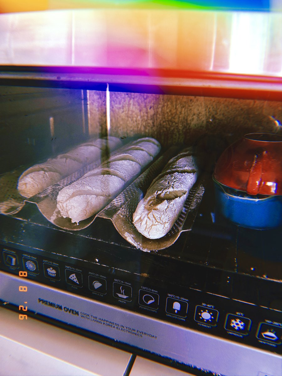 drewstar___'s tweet photo. 오토리즈(Autolyse) 첫 도전 결과, 불규칙한 기공이 나름 못 볼 정도는 아니고 갈 길 멂. +오븐 유리 청소 2일에 걸쳐 한 기념 샷.

*GPT: 오늘 브런치 🔥총합 약 1,540 kcal

St8Aug2026 Sunny34 #Aug8 #Saturday https://t.co/ytHUwl4dUq