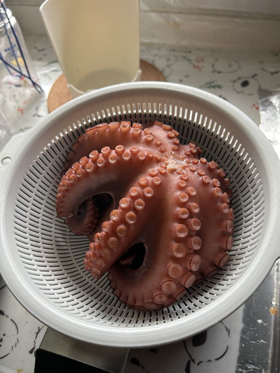 onikuro96's tweet photo. コスモ21の中にあるいずみ鮮魚店で購入した生タコ一匹茹でました🐙 https://t.co/2HlhabjoaN