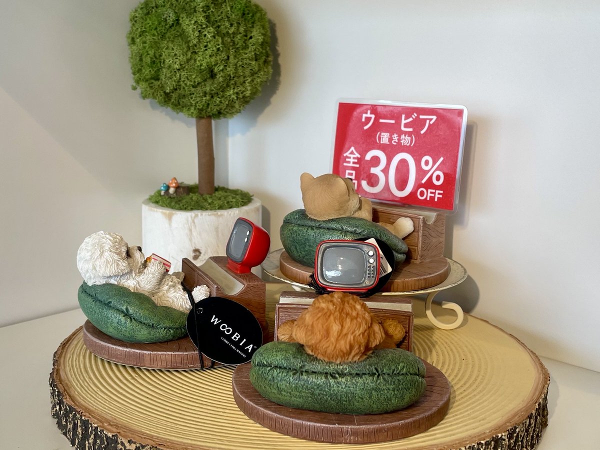 mppoussinNAGOYA's tweet photo. サマーイベント開催中です☀️✨

本日はたくさんのお客様にご来店いただき、ありがとうございます！🐾

お菓子や新発売のドリンクと一緒に、ぜひ見ていただきたいのがこちら🐶🐱

可愛い猫ちゃん、わんちゃんの置き物が、期間中すべて30％OFF！

いろんな子が揃っています♡
「この子かわいい！」というお気に入りを、ぜひ探してみてください☺️

サマーイベントは8/16まで🌻
まだまだ皆さまのご来店お待ちしております！