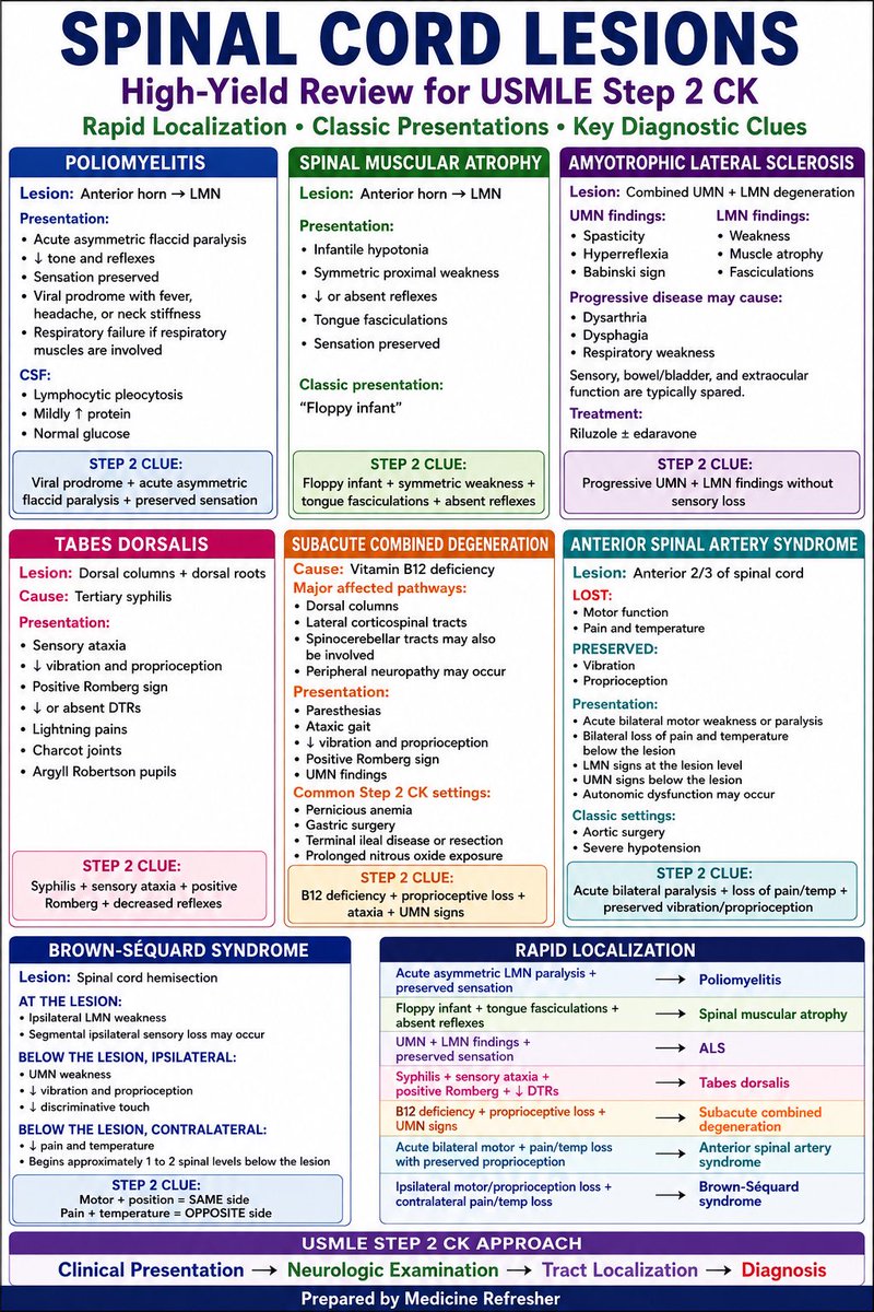 notes4medicine's tweet photo. SPINAL CORD LESIONS: High-Yield Review for USMLE Step 2 CK https://t.co/gsMaxYz8B6