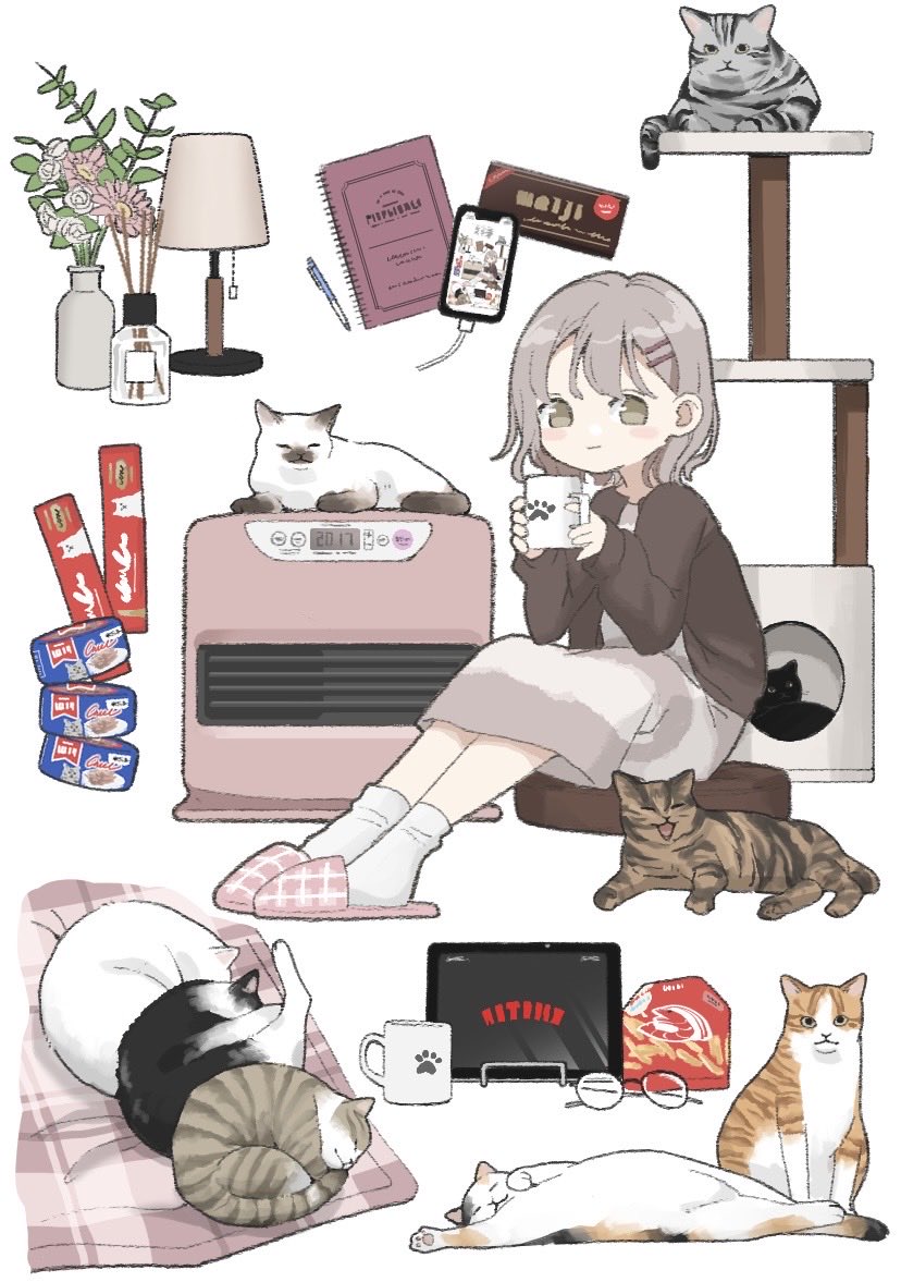 nooo1709's tweet photo. ฅ^•ﻌ•^ฅ🐾

 #世界猫の日 https://t.co/xYb4Fe6snh