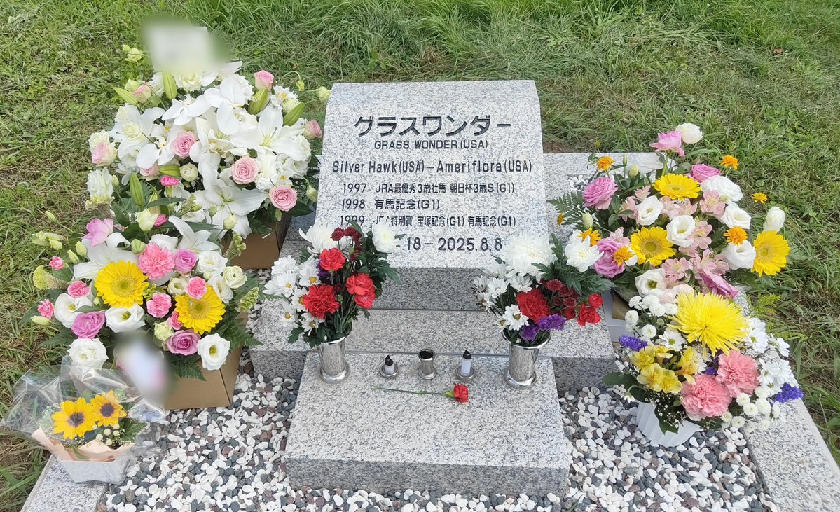 pakapakakobo's tweet photo. 【グラスワンダー一周忌】
本日はエルグラスペ“最強世代”の一角を担ったグラスワンダー（30歳没、1995年2月18日〜 2025年8月8日）の一周忌🐴💐🙏

今年は🐎ハイセイコー（30歳没、1970年3月6日〜2000年5月4日）の二十七回忌に当たるので午前中に内々で法要を行いました🐴💐🙏

※牧場の許可を得て掲載しています。明和牧場に隣接する名馬のお墓（ハイセイコー、グラスワンダーなど）は直接参拝可となっていますが、画像のSNS投稿は禁止されています。