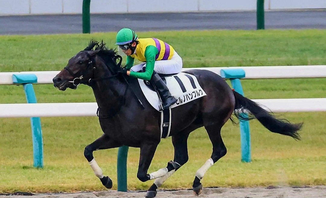 shigerugachi27's tweet photo. ★今日の競馬★
#エルムステークス
#ヒルノハンブルク

札幌は稍重馬場
函館は連続2着も
舞台替わり💡

レパードS見れば
重は得意🤞

揉まれない外枠
4角射程圏
この馬の機動力にかける https://t.co/90rqLGjymF