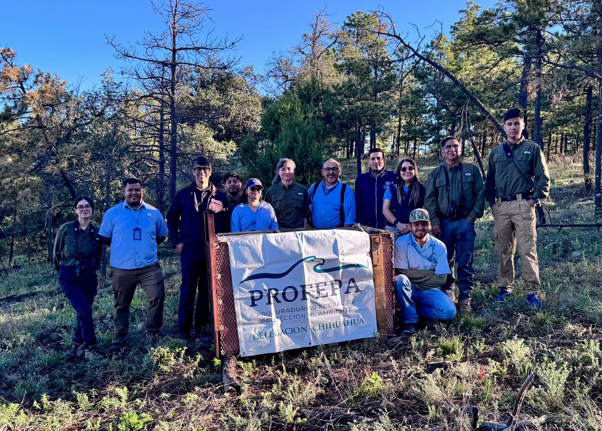 SECSonora's tweet photo. La @UES_MX colabora en un proyecto de investigación y conservación del águila real. 🦅✨

Lee el boletín completo en: https://t.co/q5DofpSSYE https://t.co/kBGYAnrbac