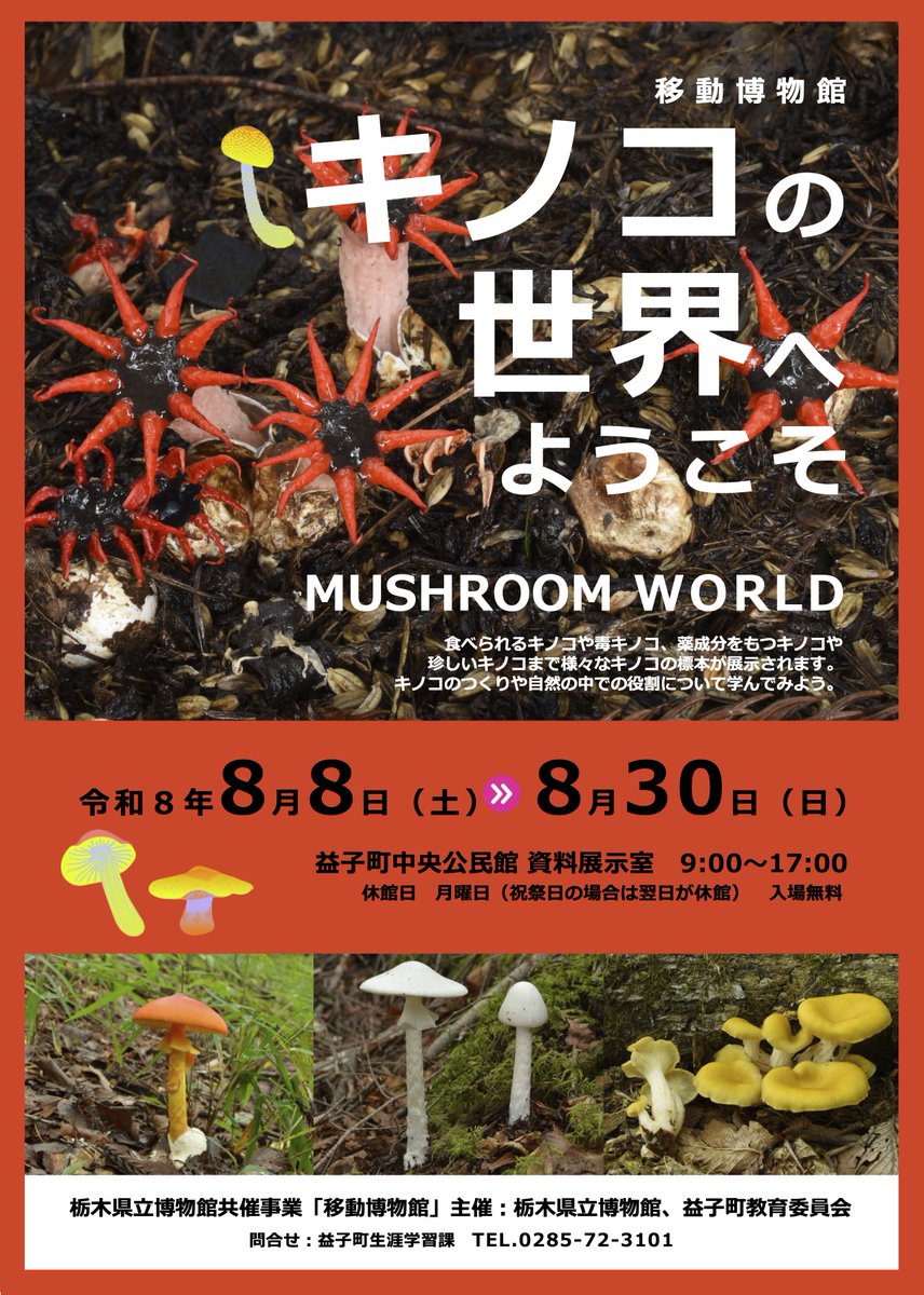 TochigiPrefMuse's tweet photo. 栃木県立博物館の貴重な資料を間近で見られる「移動博物館」を、県内4か所で開催中です！
普段はなかなか見ることのできない、貴重な標本などを展示しています。それぞれの分野の資料をじっくり楽しんでみませんか？
ぜひ、この機会に足をお運びください！ https://t.co/a0FYEoLv3I